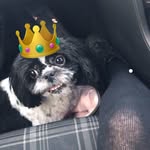 Lola Burrows - @lola_princess_x - Instagram