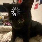 Lola Camacho - @chibii_lola - Instagram