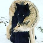 Lola Camacho - @lolacamacholozano - Instagram