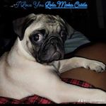 Lola Moka Castle - @puglolamoka - Instagram