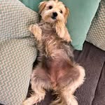 Lola Declercq - @declercq.lola - Instagram