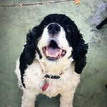 Lola - @lola.coe_ - Instagram