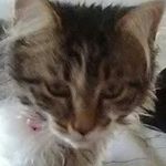 im_lola_combss - @im_lola_combsss - Instagram
