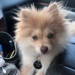 Lola Combs - @just_lola_things - Instagram