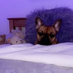 lola moo - @lolaconroyx - Instagram