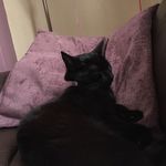 Lola Craddock - @craddock.lola - Instagram