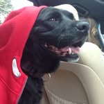 Lola - @lola_davidson_10 - Instagram