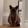 lola ;) - @lolaadoyle - TikTok