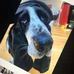 Lola Doyle - @loladoyle702 - Instagram