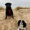 Laura dutton - @loladutton01x - TikTok