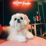 Lola - @loladyer_c - Instagram