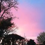 lola fallon - @lolaafallon - Instagram
