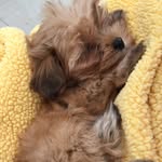 Lola Fallonza - @lola_fallonza101 - Instagram