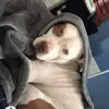 lola_fish - @lola_fish - TikTok