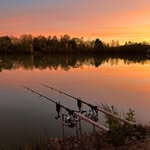 Lola - @lola_fishing19 - Instagram