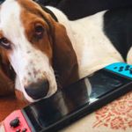 Izzie Lola Galbraith Gates - @izzieduhdoggie - Instagram