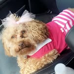 Lola Greene - @itzlola_ - Instagram