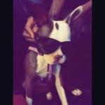 Lola - @lola_greeneyes - Instagram
