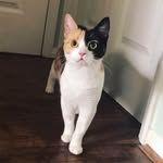 Lola Hook - @lola.hook - Instagram