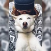 🌺 HopeandLoLa 🌺 - @lola_hope - TikTok