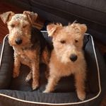 Lola & Hunter - @lolohun - Instagram