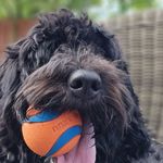 Lola Hunter - @pretty_lola_the_pwd - Instagram