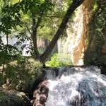 lola lambert - @lolalambert20 - Instagram