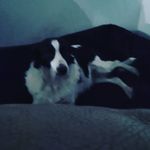 Lola Lambert - @lolalambert71 - Instagram