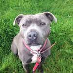 Lola Lowe - @lolalowe7 - Instagram