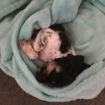 Lola Lyon - @lola.daisy.lyon - Instagram