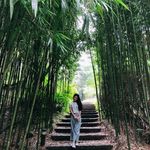 Lola Lyons - @kim_li8690 - Instagram
