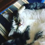 Mateus Roman Gonzaga - @mateusroman_y_lola - Instagram