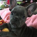 Lola Mae McBride - @lolamaemcbride - Instagram