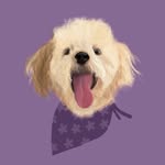 Lola Pierce - @lola.the.lovable - Instagram