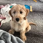Lola Pierce - @lolalovesleaves - Instagram