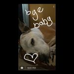 Lola Pollard - @lolajp1912 - Instagram