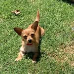 Lola Quick - @lola_quick - Instagram