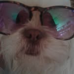 Diva que você quer copiar - @lola_rousey - Instagram