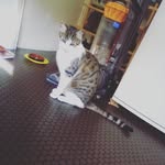 Lola rouse - @lolarouse4 - Instagram