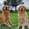❤️Roy & Lola💜 - @roy_lola - TikTok