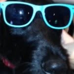 Lola Stanton - @lola_stanton_oowoof - Instagram