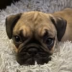 Lola Stanton - @lola.frug - Instagram
