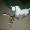 Lola Stein - @lolastein7 - TikTok