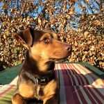 Lola Waldron - @lolawaldron12 - Instagram