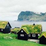 Anne smru Dupuis - @lolawallace_178247 - Instagram