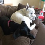 Lola And Wallace - @lola_wallace1718 - Instagram