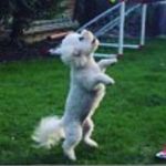 Lola Wallace - @lolas__adventures - Instagram