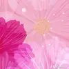 lola ware - @lola.ware - TikTok