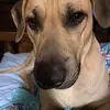 Lola Wiley - @lolawiley9 - TikTok