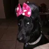 Lola Wiley - @lolawiley - TikTok